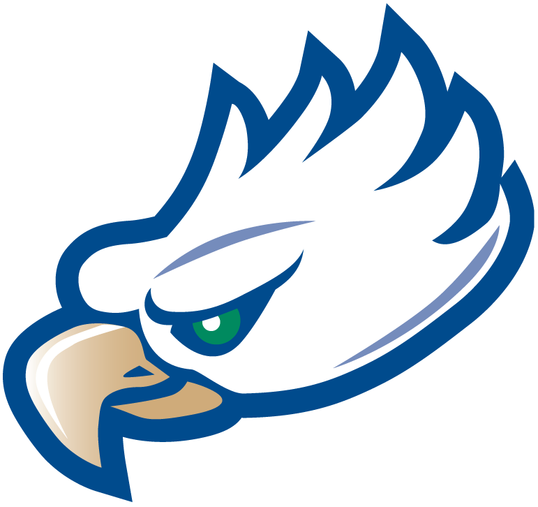 Florida Gulf Coast Eagles 2002-Pres Partial Logo diy iron on heat transfer